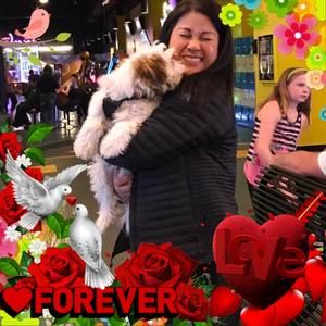 Meet your Posher, Grace